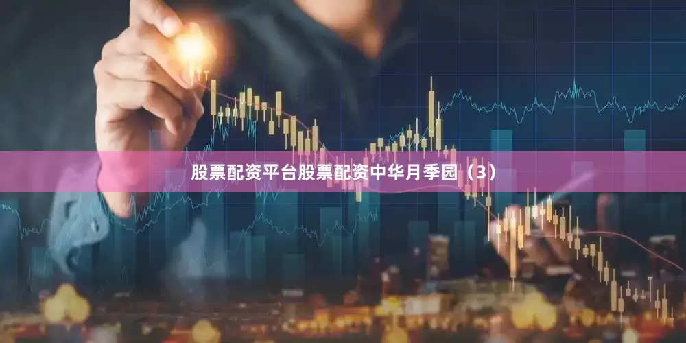 股票配资平台股票配资中华月季园（3）