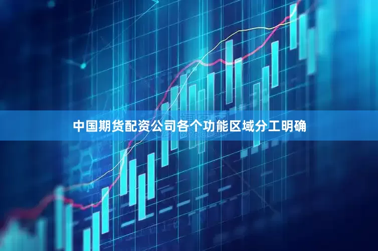 中国期货配资公司各个功能区域分工明确